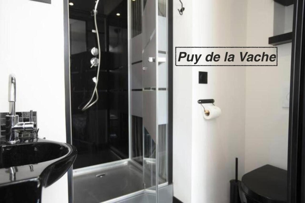 Logements Chaine Des Puys Avec Garages Attenants クレルモン・フェラン エクステリア 写真
